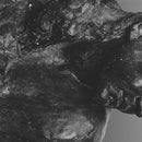 II on Mother bändin vinyyli LP-levy.