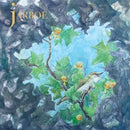 Sightings on Jarboe artistin vinyyli LP-levy.