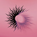 Silver Bleeds the Black Sun... on AFI bändin vinyyli LP-levy.
