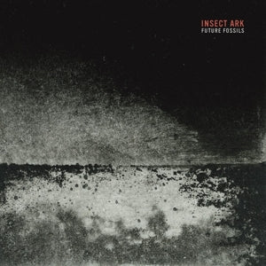 Future Fossils on Insect Ark bändin vinyyli LP-levy.