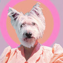 Funny Girl on Litku Klemetti artistin vinyyli LP-levy.