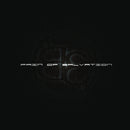 Be on Pain Of Salvation bändin vinyyli LP-levy.