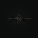 Be on Pain Of Salvation bändin vinyyli LP-levy.