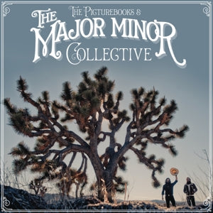 The Major Minor Collective on Picturebooks bändin vinyyli LP-levy.