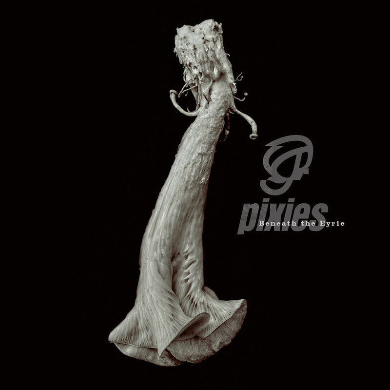 Beneath The Eyrie on Pixies bändin vinyyli LP-levy.