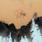 Comets On Fire - Avatar LP