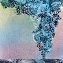 Daughn Gibson - Carnation LP