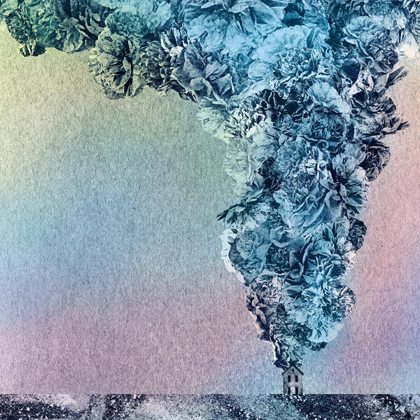 Daughn Gibson - Carnation LP