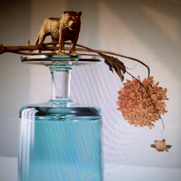 Beirut - Gallipoli LP