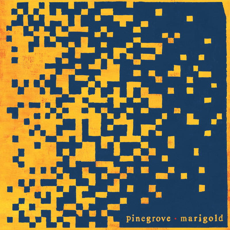 Pinegrove - Marigold LP