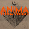 Thom Yorke - ANIMA 2xLP