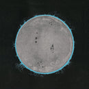 Endless Boogie - Vibe Killer LP
