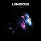 Horrors The - Luminous LP