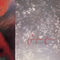 Cocteau Twins - Tiny Dynamite / Echoes In A Shallow Bay LP