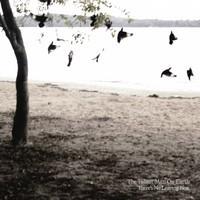 Tallest Man on Earth The - There's No Leaving Now (LP) LP