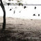 Tallest Man on Earth The - There's No Leaving Now (LP) LP