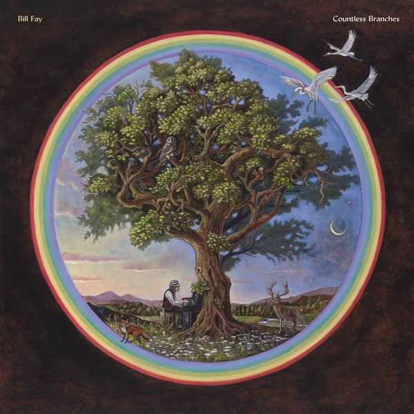 Bill Fay - Countless Branches 2xLP