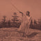 Unknown Mortal Orchestra - II LP