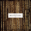 Steve Moore - Beloved Exile LP