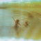 Clap Your Hands Say Yeah - New Fragility LP