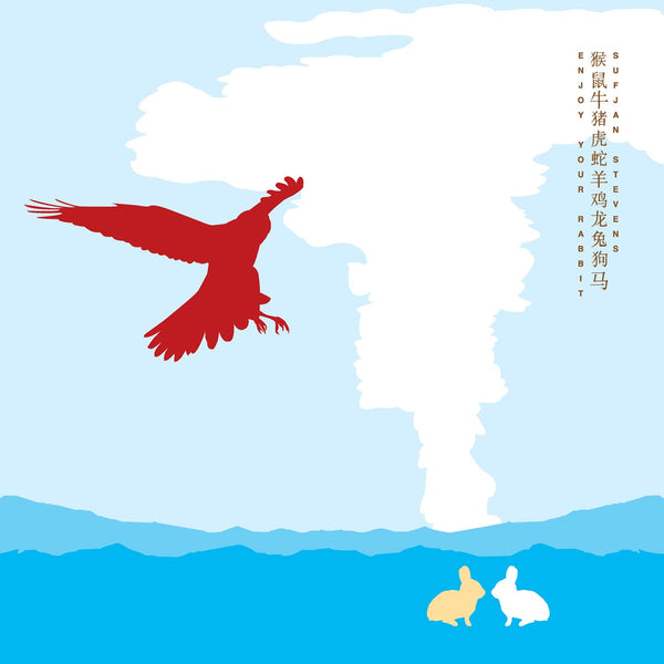 Sufjan Stevens - Enjoy Your Rabbit 2xLP