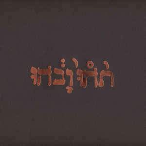 Godspeed You! Black Emperor - Slow Riot For A New Zero Kanada LP