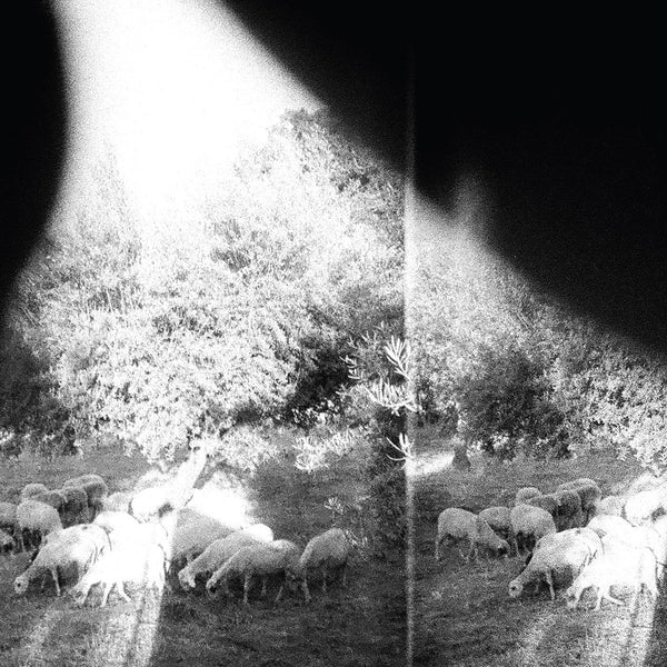 Godspeed You! Black Emperor - Asunder, Sweet And Other Distress LP