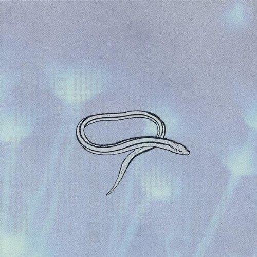 Crooked Fingers - Bring On The Snakes LP
