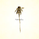 Patrick Watson - Wooden Arms 2xLP