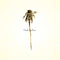 Patrick Watson - Wooden Arms 2xLP
