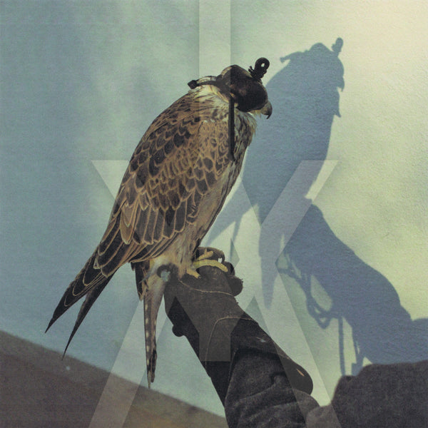 Iceage - You're Nothing LP+CD