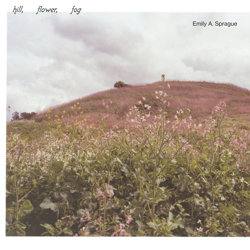Emily A. Sprague - Hill, Flower, Fog LP