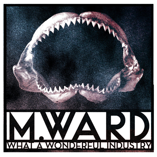 M Ward - What A Wonderful Industry LP