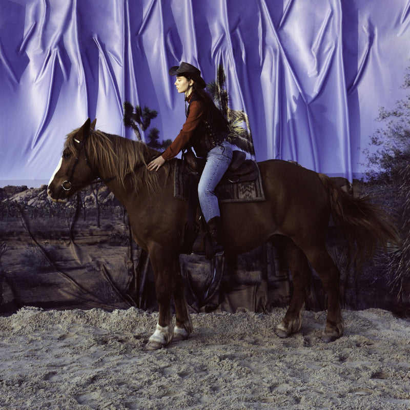 Holy Motors - Horse LP