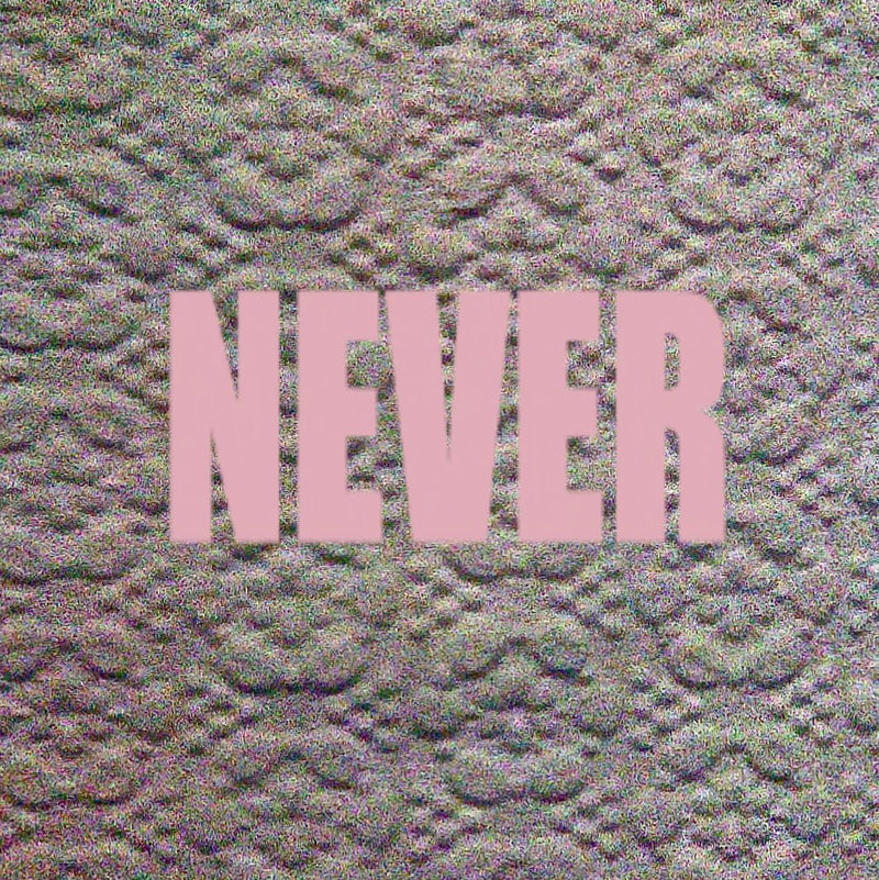 Micachu & The Shapes - Never LP