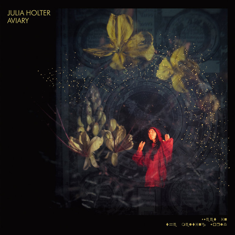Julia Holter - Aviary 2xLP
