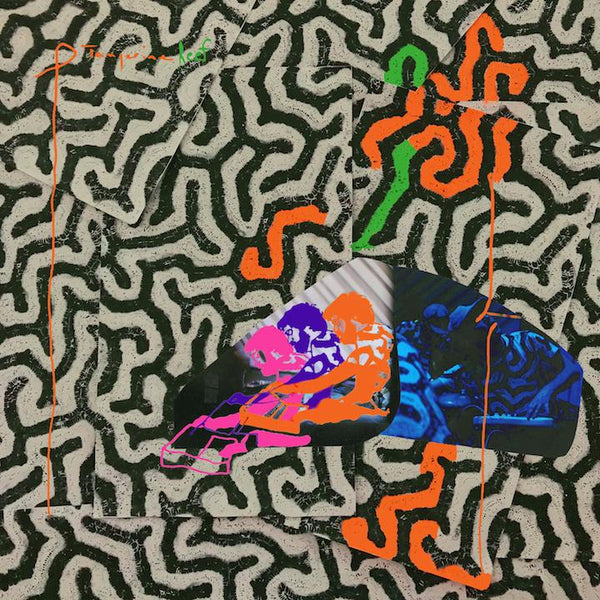 Animal Collective - Tangerine Reef 2xLP