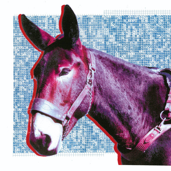 Protomartyr - Ultimate Success Today LP