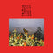Bonnie 'Prince' Billy - I Made A Place LP
