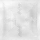 These New Puritans - Hidden [MMXX] 2xLP