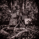 Kamasi Washington - Harmony of Difference 12''