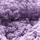 Trentemøller - Into The Great Wide Yonder LP