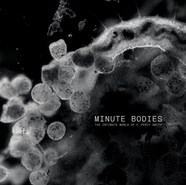 Tindersticks - Minute Bodies: The Intimate World Of F. Percy Smith 2xLP+DVD