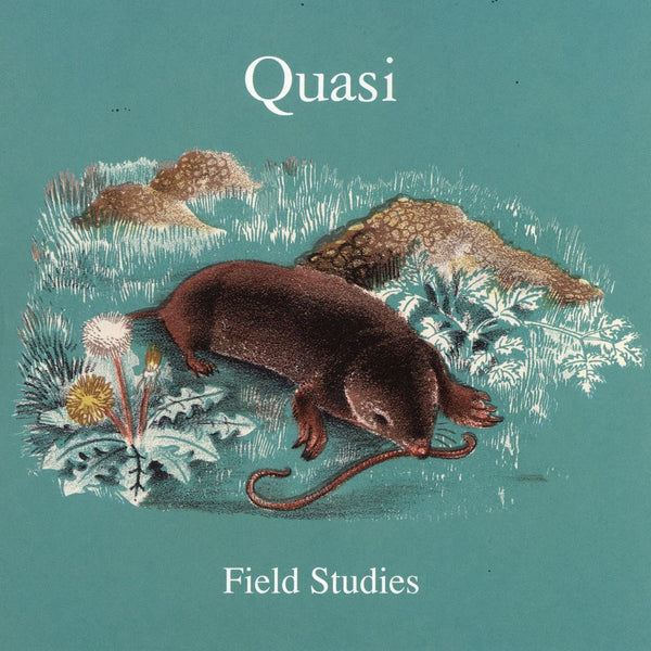 Quasi - Field Studies 2xLP