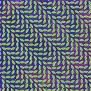 Animal Collective - Merriweather Post Pavillion 2xLP