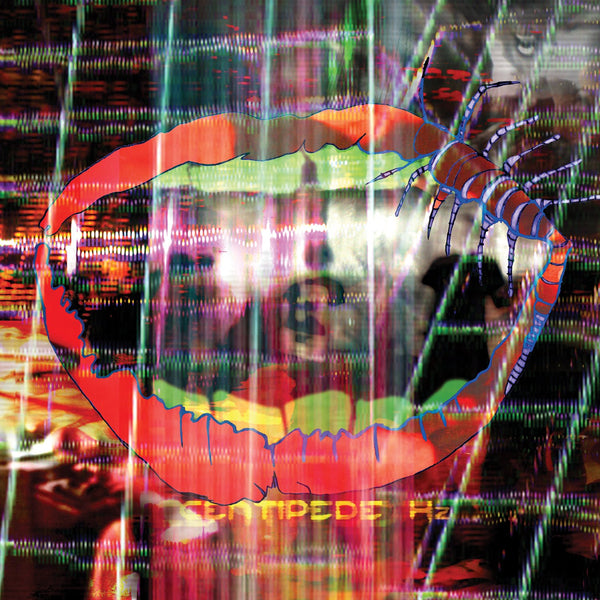 Animal Collective - Centipede HZ 2xLP