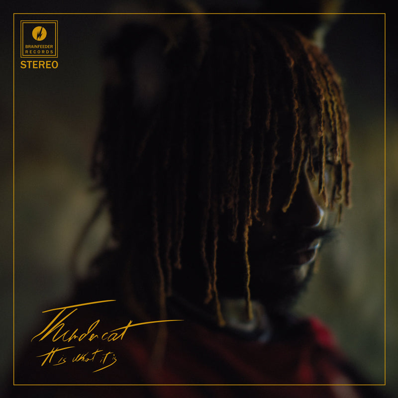 Thundercat - It Is What It Is 2xLP