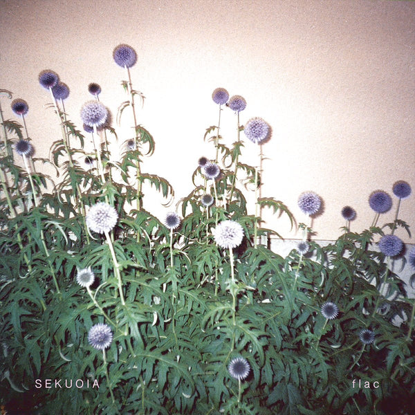 Sekuoia - flac LP