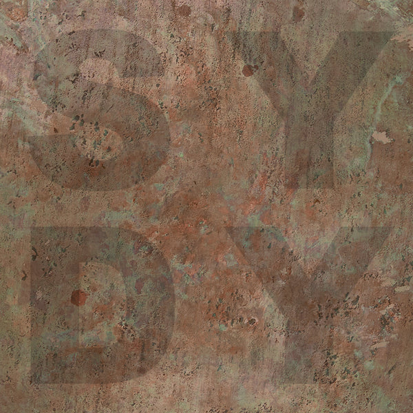 Shiny Darkly - Bronze LP