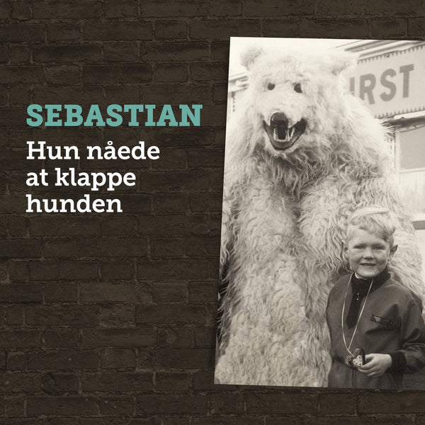Sebastian - Hun Nåede At Klappe Hunden LP